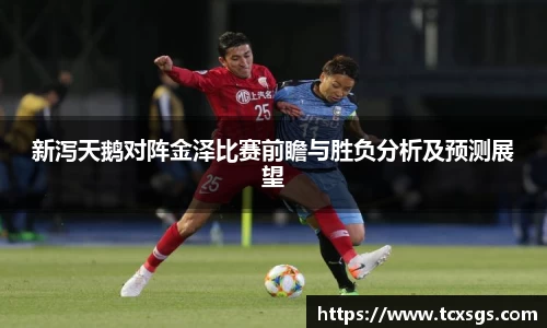 新泻天鹅对阵金泽比赛前瞻与胜负分析及预测展望