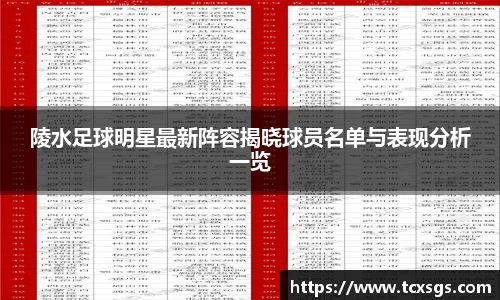 陵水足球明星最新阵容揭晓球员名单与表现分析一览