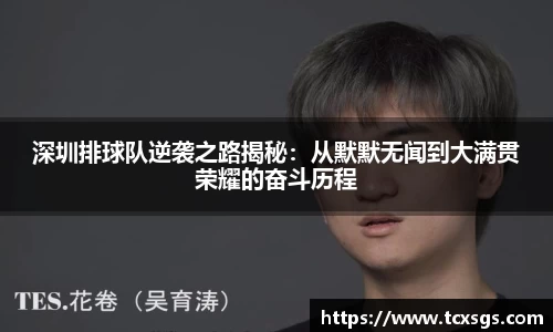 深圳排球队逆袭之路揭秘：从默默无闻到大满贯荣耀的奋斗历程